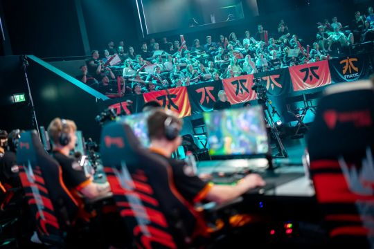 他们看到了 他们看到了